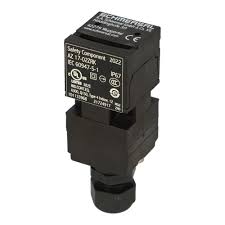 INTERRUPTOR DE SEGURIDAD AZ 17 2NC